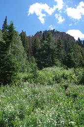 Closer to the cliffs [sat jul 29 14:02:56 mdt 2017]